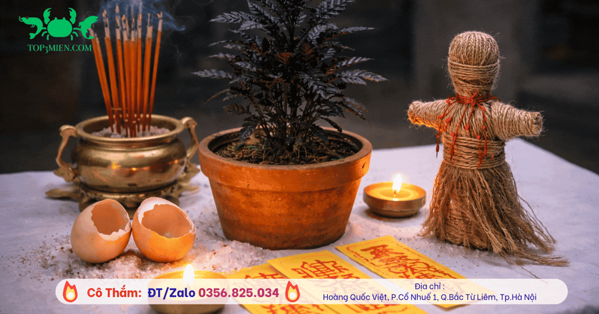 Cây ngải luyện bùa là gì? Nuôi ngải bằng trứng gà